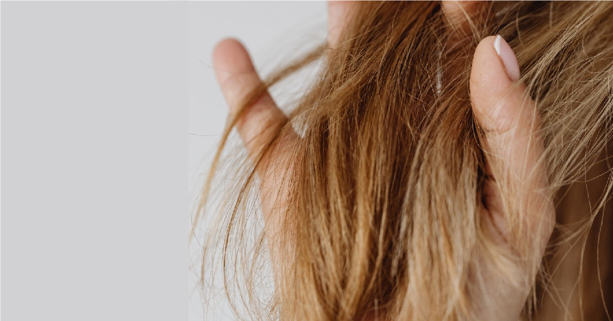 GIHO, AYUNCHE ENHANCING SILKY絲感亮色, 洗頭水, 修復髮尾, 護色洗頭水, 滋養頭皮, 頭髮光澤, 石榴洗頭水, 山茶花洗頭水, 好聞洗頭水,強韌發質, 保濕洗頭水, 乾性髮質, 頭髮毛燥, 保濕, 滋潤, 柔順, 天然成分, 深層滋養, 九龍, 沙尖咀, 沙尖咀按摩, 沙尖咀美容, 九龍美容, 九龍按摩