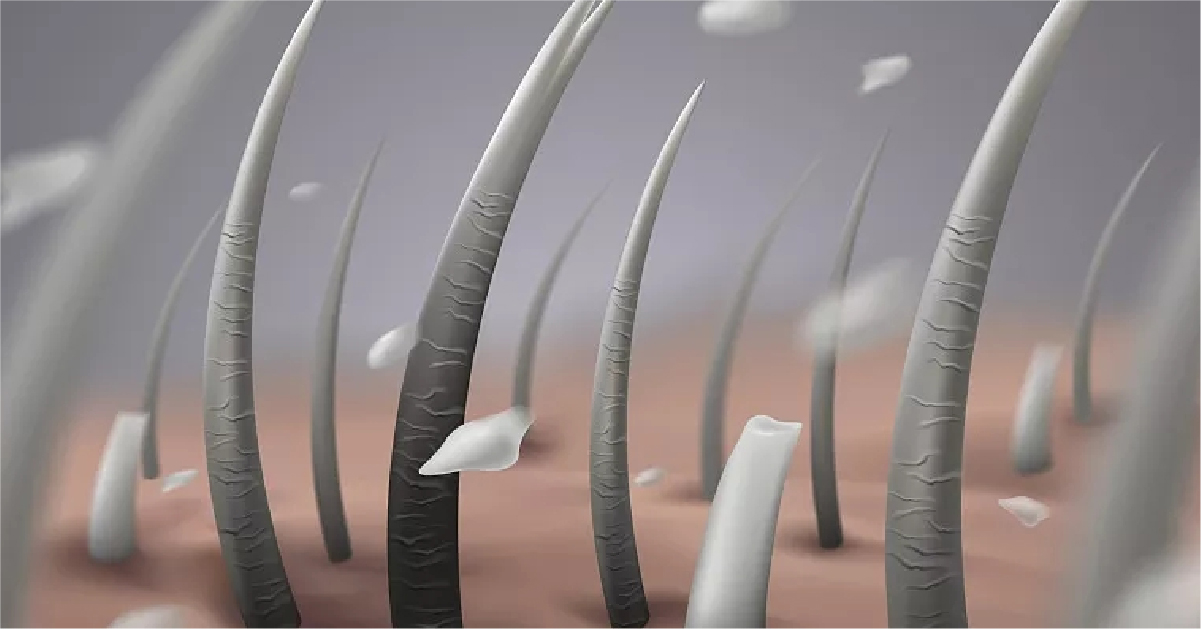 GIHO, AYUNCHE ENHANCING SILKY絲感亮色, 洗頭水, 修復髮尾, 護色洗頭水, 滋養頭皮, 頭髮光澤, 石榴洗頭水, 山茶花洗頭水, 好聞洗頭水,強韌發質, 保濕洗頭水, 乾性髮質, 頭髮毛燥, 保濕, 滋潤, 柔順, 天然成分, 深層滋養, 九龍, 沙尖咀, 沙尖咀按摩, 沙尖咀美容, 九龍美容, 九龍按摩